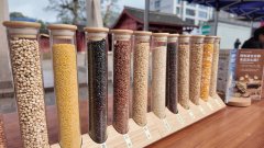 <b>2025年庆元县食物平安宣传周从场勾当举行</b>